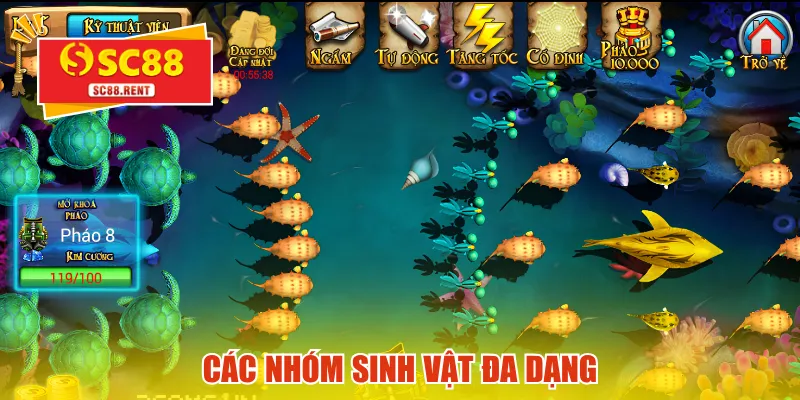 Các nhóm sinh vật đa dạng