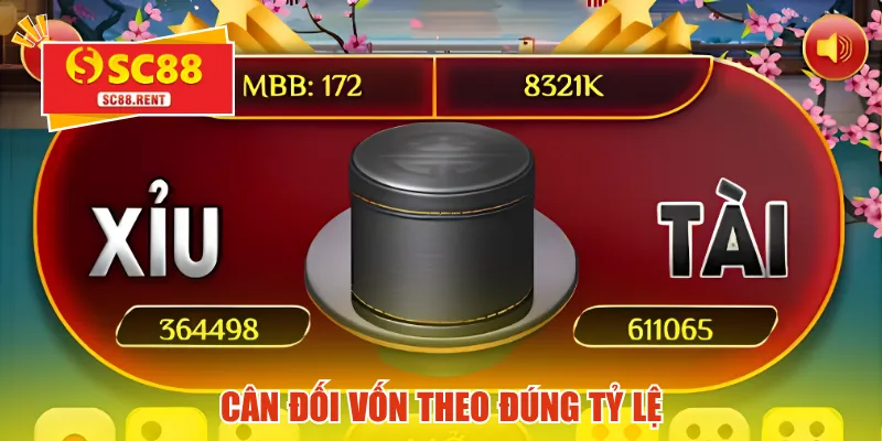Cân đối vốn theo đúng tỷ lệ