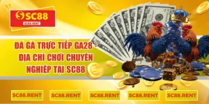 Đá gà trực tiếp GA28
