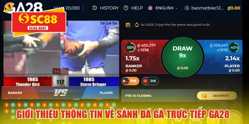 Giới thiệu thông tin về sảnh đá gà trực tiếp GA28