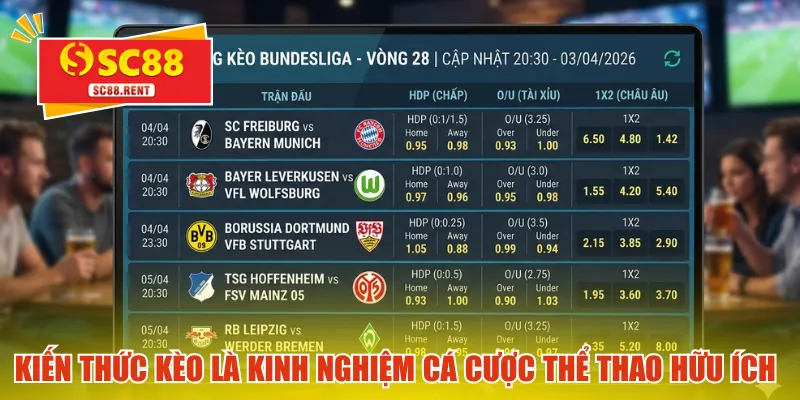 Học hỏi kiến thức về kèo là kinh nghiệm cá cược thể thao hữu ích