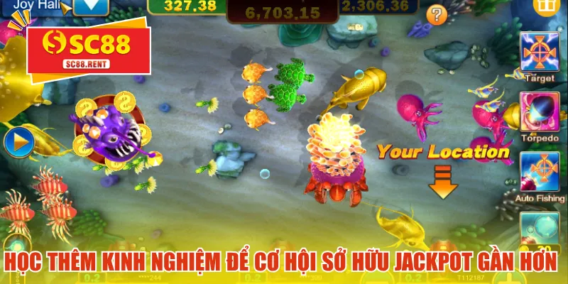 Học thêm kinh nghiệm để cơ hội sở hữu Jackpot gần hơn