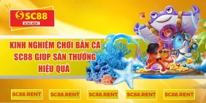 kinh nghiệm chơi bắn cá