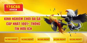 kinh nghiệm chơi đá gà