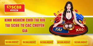 kinh nghiệm chơi tài xỉu