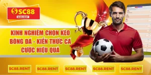 Kinh nghiệm chọn kèo bóng đá