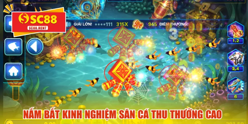 Nắm bắt kinh nghiệm săn cá thu thưởng cao