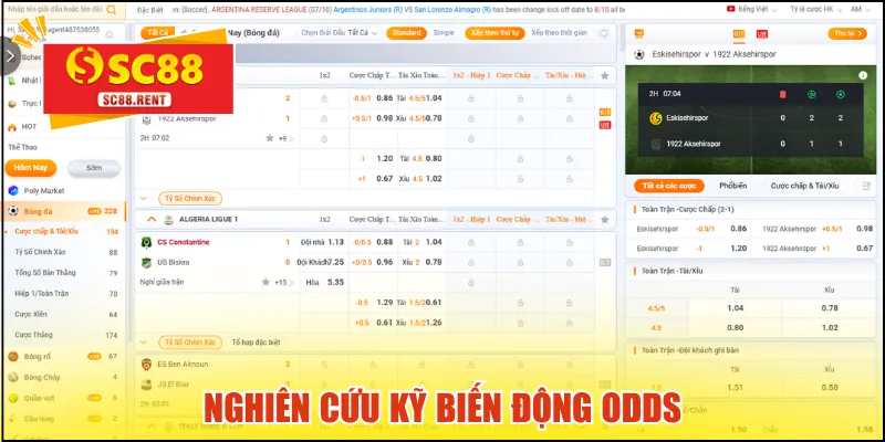 Nghiên cứu kỹ biến động odds