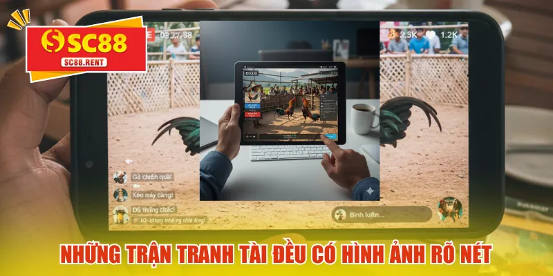 Những trận tranh tài đều có hình ảnh rõ nét