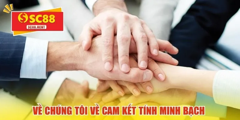 Về chúng tôi về cam kết tính minh bạch